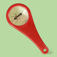 Load image into Gallery viewer, Explorer Magnifying Glass
