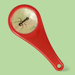 Explorer Magnifying Glass