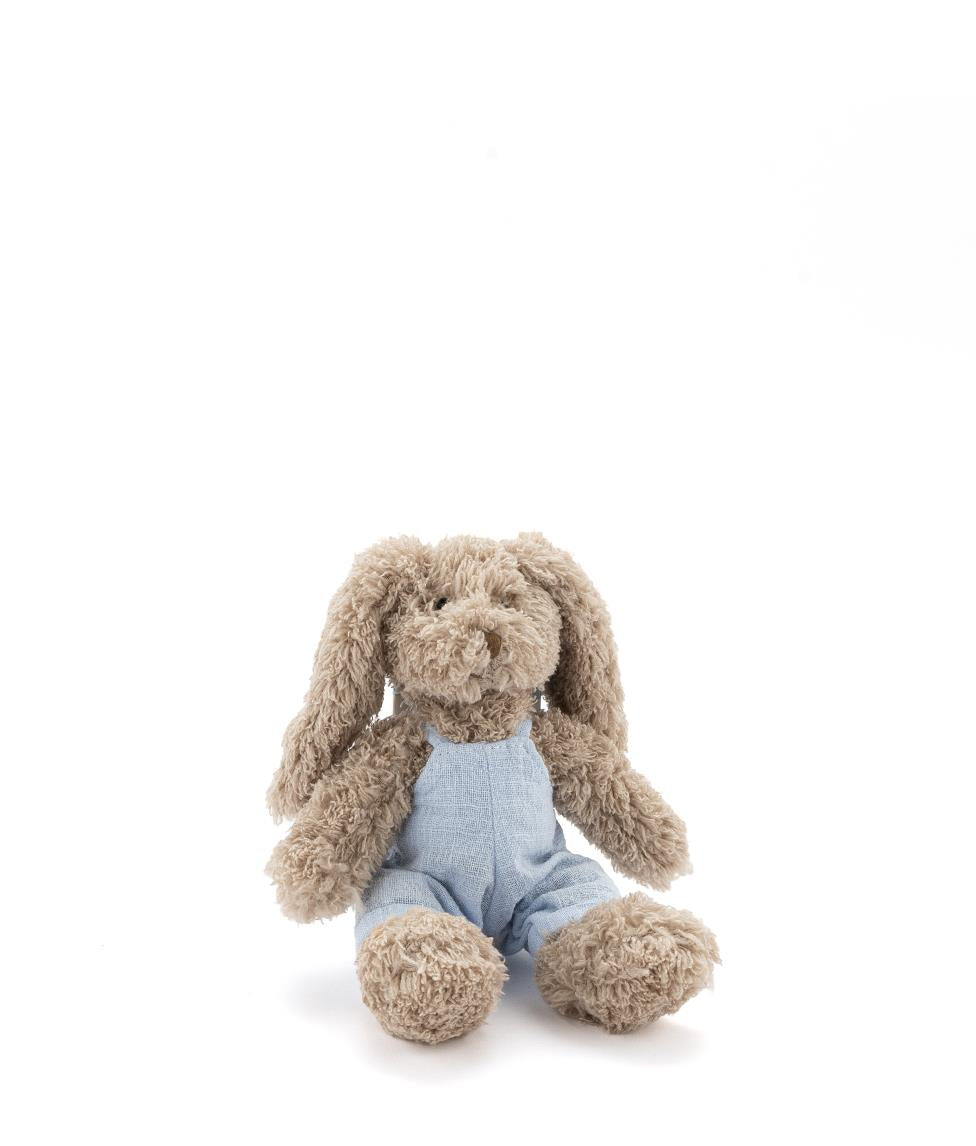 Baby Honey Bunny Boy - Baby Blue