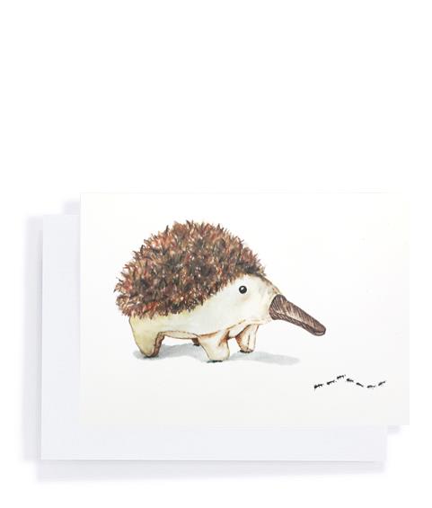 Gift Card-Spike the Echidna