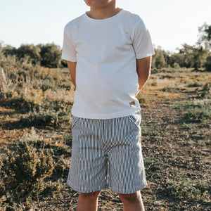 Boys Dress Shorts - Navy Pinstripe