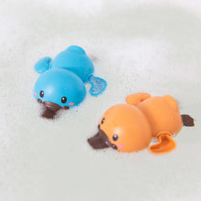 Load image into Gallery viewer, Bath Racers - Platypuses
