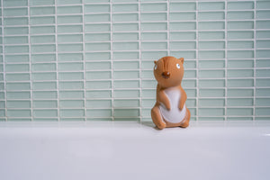 Rubber Squirrel Arctic Animal