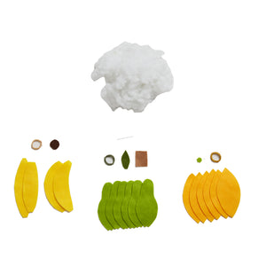 Felt Fruit Craft Set