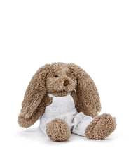 Load image into Gallery viewer, Baby Honey Bunny-Boy

