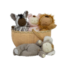 Load image into Gallery viewer, Blossom Basket Big
