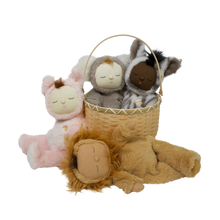 Load image into Gallery viewer, Blossom Basket Big

