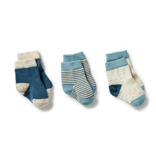 Load image into Gallery viewer, Organic 3 Pack Baby Socks Arctic Blast
